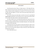 Phân tích hiệu quả sử dụng vốn kinh doanh tại Công ty Cổ phần Internet và Viễn thông Việt Nam