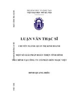 Luận văn thạc sỹ - Một số giải pháp hoàn thiện tình hình tài chính tại Công ty cổ phần Hòn Ngọc Việt