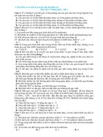 cơ chế di truyền cấp độ phân tử đề 2 thông hiểu