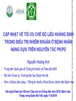 Cập nhật về tối ưu chế độ liều kháng sinh trong điều trị nhiễm khuẩn ở bệnh nhân nặng dựa trên nguyên tắc PK PD 