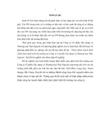 Hoàn thiện hoạch định chiến lược phát triển thị trường tại Công ty Cổ phần Xây dựng và Thương mại Thái Nguyên