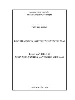 Đặc điểm ngôn ngữ thơ nguyễn thị mai 