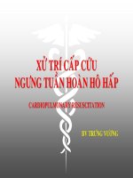 CẤP CỨU HỒI SINH TIM PHỔI CƠ BẢN