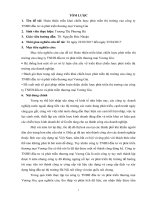 Hoàn thiện triển khai chiến lược phát triển thị trường của công ty TNHH đầu tư và phát triển thương mại Vương Gia