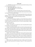 Hoàn thiện hoạch định chiến lược phát triển thị trường của Công ty CP XNK thực phẩm Thái Bình