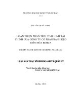 Luận văn thạc sỹ - Hoàn thiện phân tích tình hình tài chính của Công ty cổ phần Bánh kẹo Biên Hòa Bibica