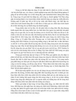 Hoàn thiện triển khái chiến lược phát triển thị trường của Công ty Cổ phần Phát triển Thương mại và Xuất nhập khẩu Tân Phát