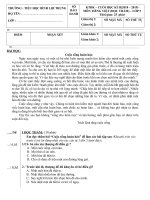 Đọc thầm  Lớp 5  Tiếng Việt