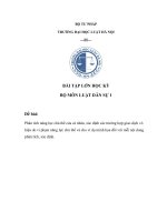 Năng lực chủ thể của cá nhân, xác định các trường hợp giao dịch vô hiệu do vi phạm năng lực chủ thể