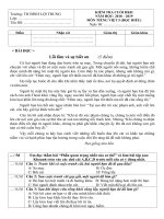 Đọc hiểu  Lỗi lầm và sự biết ơn  Đề thi cuối HK2  Tiếng việt 5