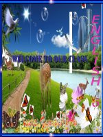 Anh 6 thi diem unit 2a closer look 1 