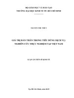 Luận án tiến sĩ kinh tế  giá trị bản thân trong tiêu dùng dịch vụ 