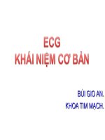 ĐIỆN TÂM ĐỒ CƠ BẢN