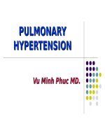 TĂNG ÁP ĐỘNG MẠCH PHỔI,  Đ H Y DƯỢC TP HCM