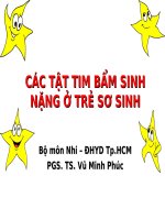 CÁC TẬT TIM BẨM SINH NẶNG Ở TRẺ SƠ SINH, ĐH Y DƯỢC TP HCM
