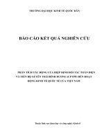 Báo cáo Phân tích tác động của Hiệp định đối tác toàn diện và tiến bộ xuyên thái bình dương (CPTPP) đến hoạt động kinh tế quốc tế của Việt Nam năm 2019