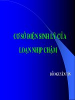 CƠ SỞ ĐIỆN SINH LÝ CỦA  LOẠN NHỊP CHẬM, ĐH Y DƯỢC TP HCM