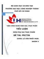 tiểu luận môn phụ gia thực phẩm đề tài pectin 