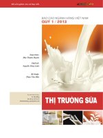 bao cao  sua quy 1 nam 2013