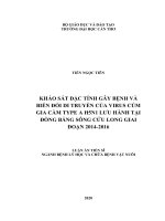 KHẢO sát đặc TÍNH gây BỆNH và BIẾN đổi DI TRUYỀN của VIRUS cúm GIA cầm TYPE a h5n1 lưu HÀNH tại ĐỒNG BẰNG SÔNG cửu LONG GIAI đoạn 2014 2016 