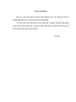 Nghiên cứu đặc điểm tổn thương và kết quả phẫu thuật nội soi điều trị rách chóp xoay 