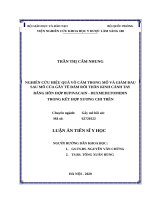 Nghiên cứu hiệu quả vô cảm trong mổ và giảm đau sau mổ của gây tê đám rối thần kinh cánh tay bằng hỗn hợp bupivacain   dexmedetomidin trong kết hợp xương chi trên 