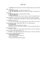 Hoàn thiện công tác tổ chức lực lượng bán hàng tại công ty TNHH Điện – Điện tử 3C.