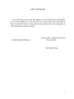 Nghiên cứu các phương pháp điều chế và điều khiển bộ biến đổi bán dẫn công suất đa mức kiểu module hóa 