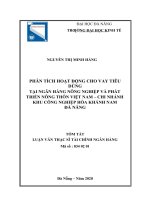 Phân tích hoạt động cho vay tiêu dùng tại ngân hàng nông nghiệp và phát triển nông thôn việt nam – chi nhánh khu công nghiệp hòa khánh nam đà nẵng 