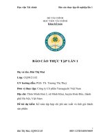 báo cáo thực tập tốt nghiệp lần 1 tại công ty cổ phần yamaguchi việt nam 