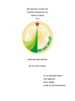 bài tiểu luận hạt vi nhựa