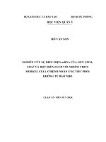 Nghiên cứu sự biểu hiện mRNA của gen CIZ1b, VEGF và đột biến EGFR với nhiễm virus merkel cell ở bệnh nhân ung thư phổi không tế bào nhỏ 