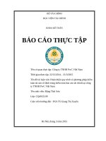 Hoàn thiện quy trình và phương pháp kiểm toán tài sản cố định trong kiểm toán báo cáo tài chính tại công ty TNHH pwc việt nam