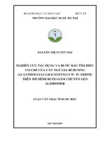 NGUYỄN THỊ TUYẾT MAI NGHIÊN cứu tác DỤNG và bước đầu tìm HIỂU cơ CHẾ của cây NGŨ GIA bì HƯƠNG (ACANTHOPANAX GRACILISTYLUS w  w  SMITH) TRÊN mô HÌNH RUỒI GIẤM CHUYỂN GEN ALZHEIMER LUẬN văn THẠC sĩ dược học 