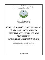 CAO VIỆT PHƢƠNG mã SINH VIÊN 1401474 TỔNG hợp và THỬ HOẠT TÍNH KHÁNG tế bào UNG THƢ của một số dẫn CHẤT ACYLHYDRAZON mới MANG KHUNG 2h BENZOb1,4OXAZIN 3(4h) ON KHÓA LUẬN tốt NGHIỆP dƣợc sĩ 