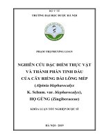 PHẠM THỊ PHƯƠNG LOAN NGHIÊN cứu đặc điểm THỰC vật và THÀNH PHẦN TINH dầu của cây RIỀNG dài LÔNG mép (alpinia blepharocalyx k  schum  var  blepharocalyx), họ GỪNG (zingiberaceae) 