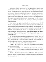 Phát triển chính sách xúc tiến thương mại khóa học về kỹ năng bán hàng và quản lý của công ty cổ phần Babylons trên thị trường Hà Nội