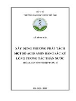 LÊ ĐÌNH HẢI XÂY DỰNG PHƯƠNG PHÁP TÁCH MỘT SỐ ACID AMIN BẰNG SẮC KÝ LỎNG TƯƠNG TÁC THÂN NƯỚC KHÓA LUẬN TỐT NGHIỆP DƯỢC SĨ