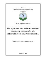 PHẠM THỊ HỒNG NHUNG xây DỰNG PHƢƠNG PHÁP ĐỊNH LƢỢNG GLICLAZID TRONG VIÊN nén GLICLAZID 30 MG GIẢI PHÓNG kéo dài KHOÁ LUẬN tốt NGHIỆP dƣợc sĩ 