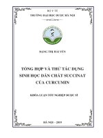 TỔNG hợp và THỬ tác DỤNG SINH học dẫn CHẤT SUCCINAT của CURCUMIN KHÓA LUẬN tốt NGHIỆP dược sĩ 