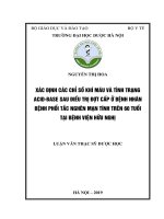 NGUYỄN THỊ HOA x¸c §ÞNH c¸c CHØ sè KHÝ m¸u vµ T×NH TR¹NG ACID BASE SAU §iòu TRÞ §ît cêp ë bönh nh©n bönh phæi t¾c nghïn m¹n týnh trªn 60 tuæi t¹i bönh viön h÷u nghþ LUẬN văn THẠC sỹ dƣợc học 
