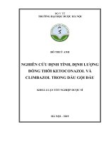 ĐỖ THUỲ ANH NGHIÊN cứu ĐỊNH TÍNH, ĐỊNH LƯỢNG ĐỒNG THỜI KETOCONAZOL và CLIMBAZOL TRONG dầu gội đầu KHOÁ LUẬN tốt NGHIỆP dược sĩ 