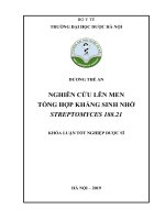 DƯƠNG THẾ AN NGHIÊN cứu lên MEN  TỔNG hợp KHÁNG SINH NHỜ STREPTOMYCES 188 21 KHÓA LUẬN tốt NGHIỆP dược sĩ 