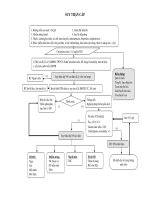 SUY THẬN CẤP Ở TRẺ SƠ SINH