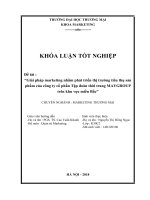 Giải pháp marketing nhằm phát triển thị trường tiêu thụ sản phẩm của công ty cổ phần Tập đoàn thời trang MAYGROUP trên khu vực miền Bắc