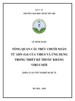 LÊ MINH NGỌC TỔNG QUAN CẤU TRÚC CHUỖI XOẮN TỨ ADN (G4) CỦA VIRUS VÀ ỨNG DỤNG TRONG THIẾT KẾ THUỐC KHÁNG VIRUS MỚI KHÓA LUẬN TỐT NGHIỆP DƯỢC SĨ