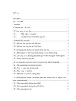 Hiệu quả can thiệp dinh dưỡng cho bệnh nhân ung thư điều trị hoá chất tại bệnh viện đại học y hà nội