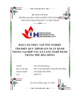 báo cao thuc tap banh trang phú hòa đông củ chi