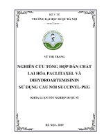VŨ THỊ TRANG NGHIÊN cứu TỔNG hợp dẫn CHẤT LAI hóa PACLITAXEL và DIHYDROARTEMISININ sử DỤNG cầu nối SUCCINYL PEG KHÓA LUẬN tốt NGHIỆP dược sĩ 