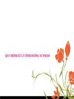 quy-trinh-xu-ly-tinh-huong-su-pham